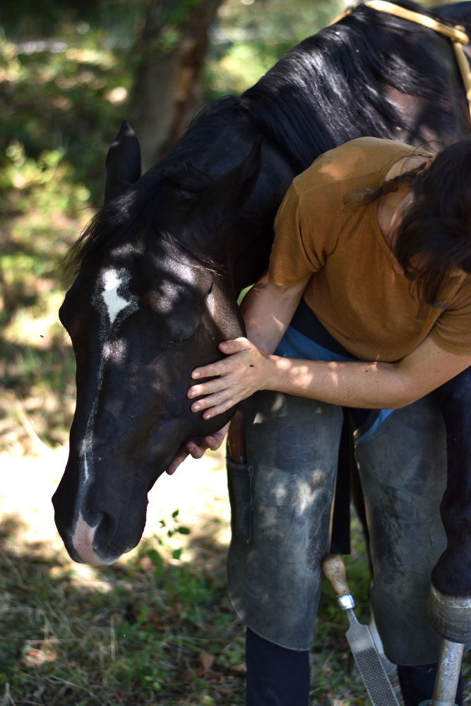 Isaline avec un cheval, moment de caresse