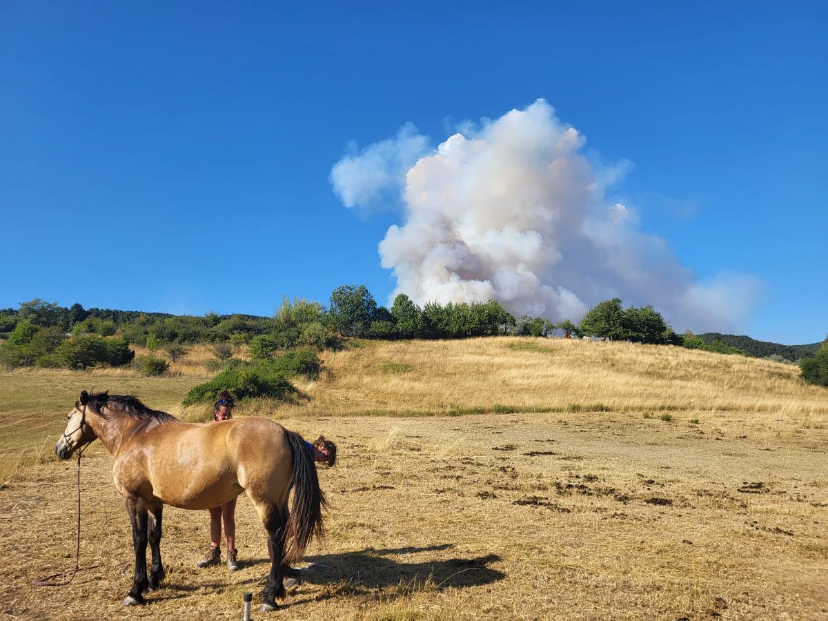 Isaline et son cheval dans un pré du Diois