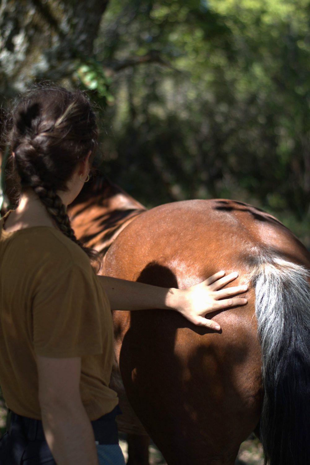 Isaline avec un cheval, en forêt