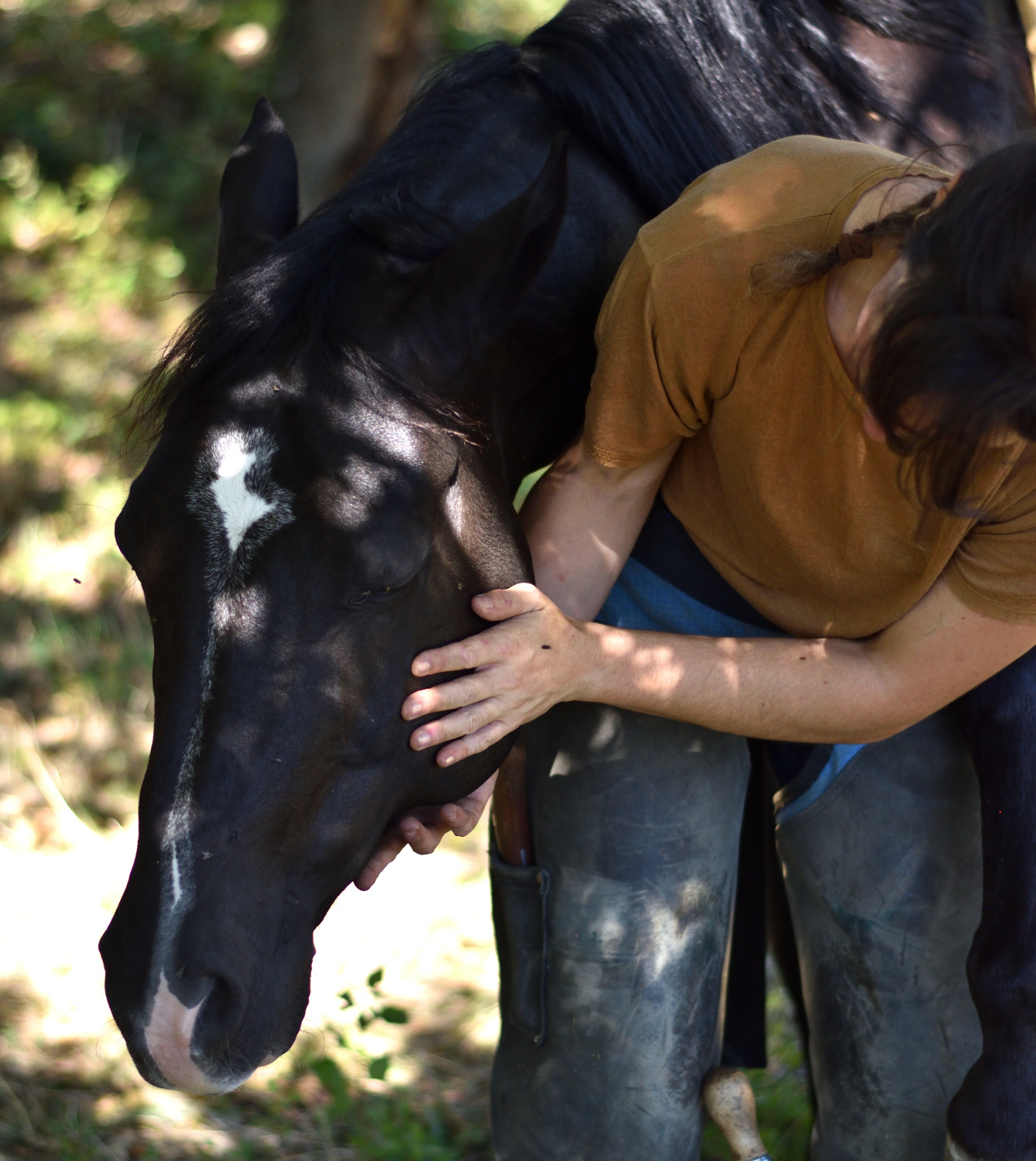 Isaline avec un cheval, moment de confiance